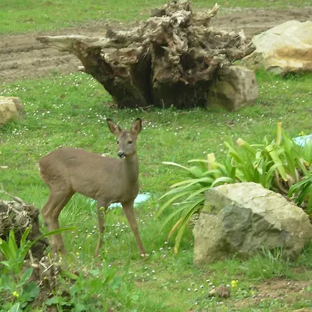 فندق Manoir De Kergrec'h